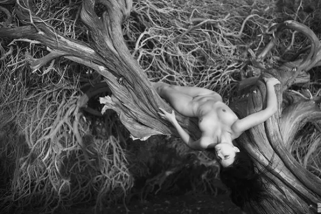 "Нервы природы", Erotique