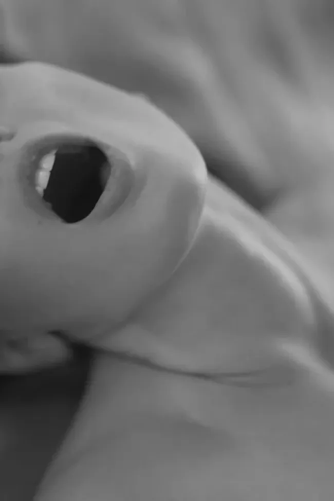 Ню #ЧерноБелое, Черно белое Ню #ЧерноБелое, Черно белое