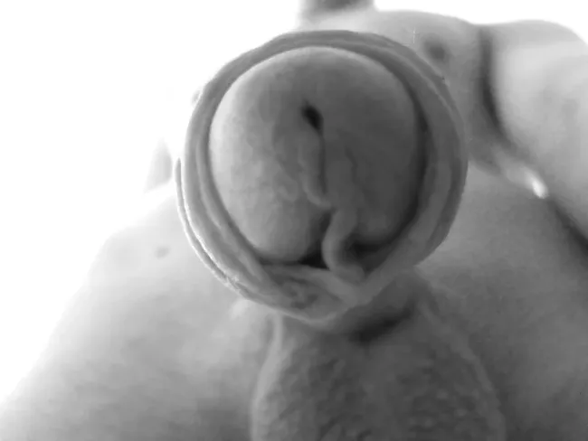 Ню #хуй #ЧерноБелое #бритая, хуй