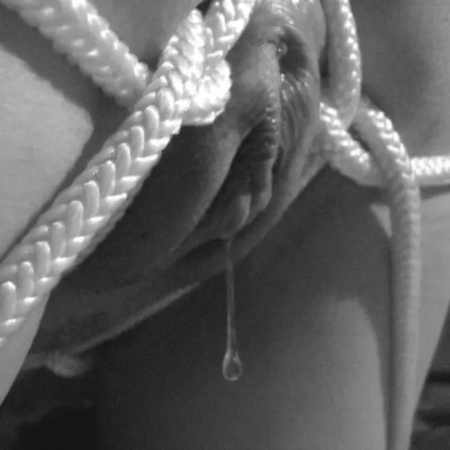 Ню киска, , , ЧерноБелое, киска, киска