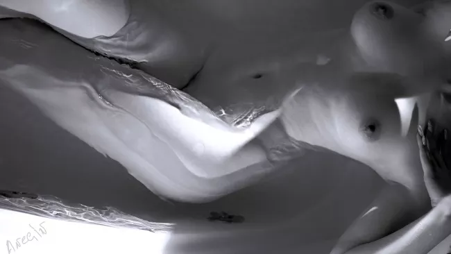 Ph : ANEGIN., anegin