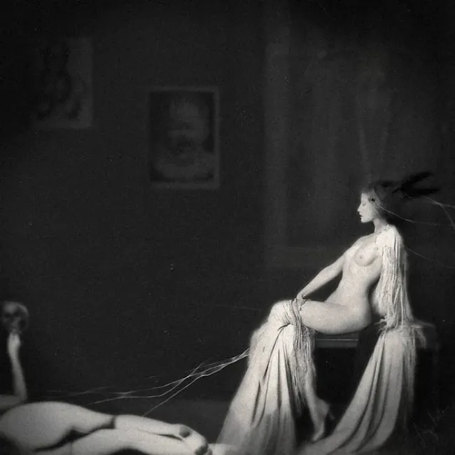 Photographer Anja Millen, Erotique