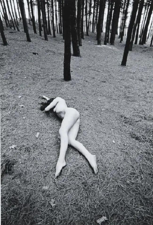 Photographer Guy Borremans, Erotique