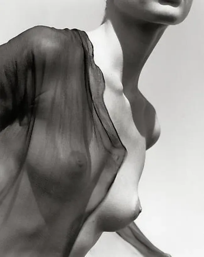 Photographer Herb Ritts, Erotique