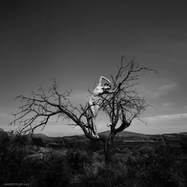 Subtlety, природа