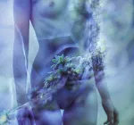 грибы, природа грибы, природа