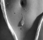 Inspiration., Erotique