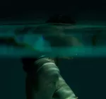 Inspiration., Erotique