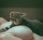 Inspiration., Erotique