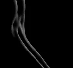 Незнакомка), спина