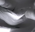 Ph : ANEGIN., anegin